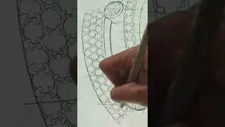 Move Romane dawns into form under the designer&rsquo;s hand #Messika #drawing #craft  #jewellery #diamond