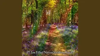 Stroll For Solitude