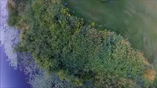 Flying Low