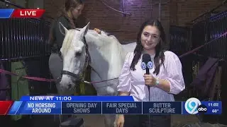 21-year-old pro equestrian saddles up ahead of NYS Fair competition
