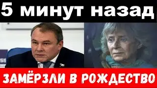 Дубовицкая в реанимации /Толстой /трагедия в Рождество//новости