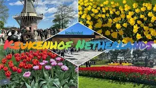 Keukenhof Garden 2024 - The World's Most Beautiful Spring Garden...