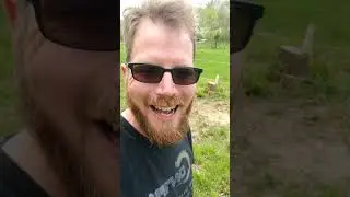 Apiary Tour + Vlog Post/Beekeeping Update!