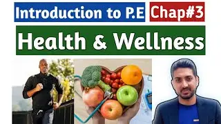 Health & Wellness | Determinants of Health | Lifestyle Diseases | Introduction to P.E | Chap 3