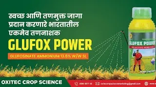OXITEC CROP SCIENCE चे सर्वात प्रभावशाली तणनाशक GLUFOX POWER,  डेमोसह सर्व माहिती उपलब्ध