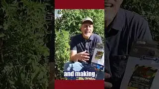 Emergency Storage Seeds: Stay Prepared with True Leaf Market 🌱 | Survival Tips