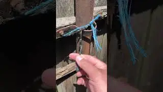 How to break a cord #tutorial #absurd #diy #uselessthings
