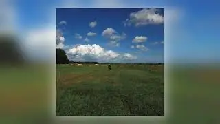 05 Biosphere - Rovertse Heide [Biophon Records (Norway)]