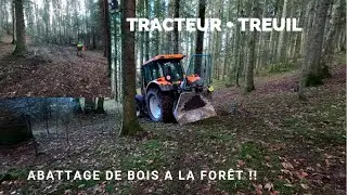Abattage D'Arbres A La Forêt ! | Tracteur + Treuil