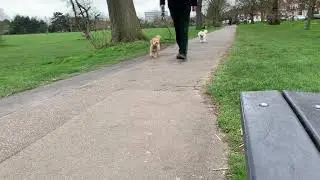 Mundane Walk