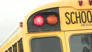 Flathead resident aims to improve school bus safety regulations