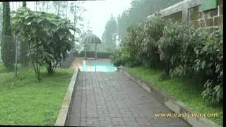 Welcome To Padusan Forest