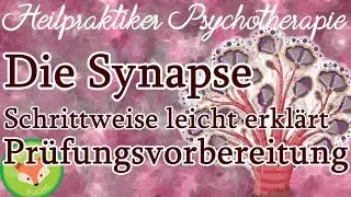 Heilpraktiker Psychotherapie: SYNAPSEN (Nervensystem) - wo Psychopharmaka wirken - für die Prüfung