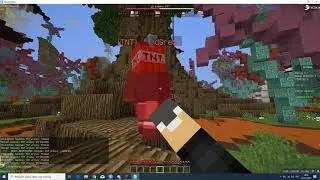 TNT Tag