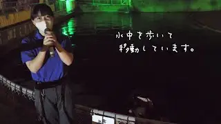 【東山動植物園公式】カバのアニマルトーク(字幕対応)《 2021おうちでたのしむナイトZOO＆GARDEN》《 カバ 》