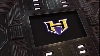 Logo Stinger