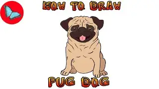 How To Draw Pug Dog | Drawing Animals