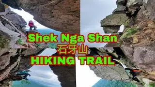 Shek Nga Shan (石牙山) HIKING TRAIL VIA TAI SHUI HANG #dlovemaya #Shekngashan #hongkongadventure