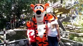 Funny Tigger at Disneyland!  Tigger Meet & Greet