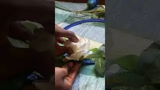 Watch me make these floral hoop bouquets  #shorts #wedding #hoops #flowers #diy #bouquet #summer