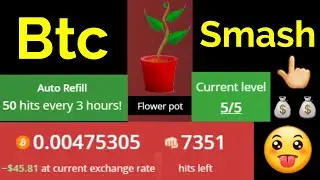 Btc Smash Review