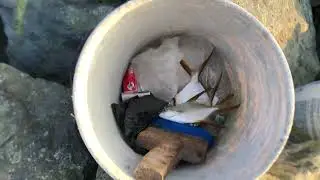 UN DÍA CONMIGO DE PESCA 🎣