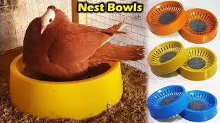 Beautiful Nest Bowls for all type Pigeon | Pigeons Breeding Bowls | Plastic Bowls for Nesting