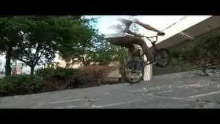 Tree Bicycle Co. BMX Edit
