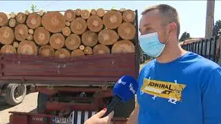 BOJE JUTRA - Prodaja drva