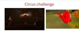 Circus challenge 