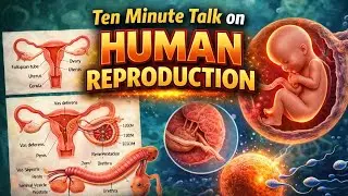 Human reproduction Ten minute talk #neet #neetpreparation #aiimsdelhi #neet2026#medicosstuff #me