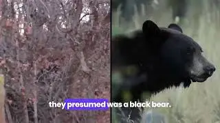 Terror in Provo Canyon