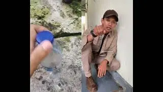 assalamualaikum mas amarpd saya mau tanya ini ular pipa atau ular weling 