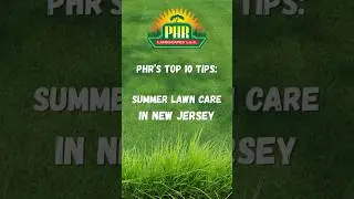 A Guide to Summer Lawn Care in New Jersey | PHR Landscapes
