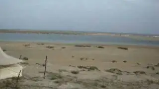 Gwadar Golden Palm