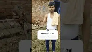 Yah  kon sa bird hai #virl video #bird