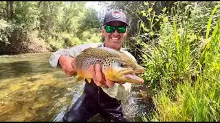 Fly Fishing for Brown Trout in Northern Spain