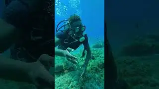 Diving for the First Time #underwaterworld  #firsttimediving #mexicodive #underwater