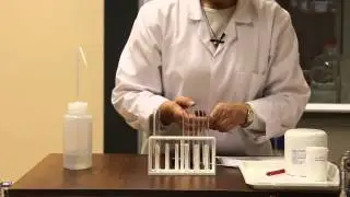 KEMIA - NaCl, NaOH, KNO3  oldáshőjének vizsgálata