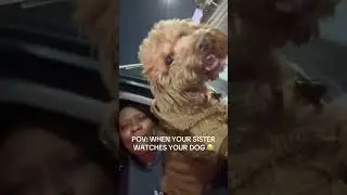 @chelsandsunny: #dog #doglover