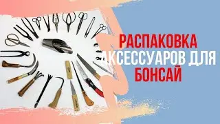 Распаковка аксессуаров для Бонсай. Что купил на 5500р?