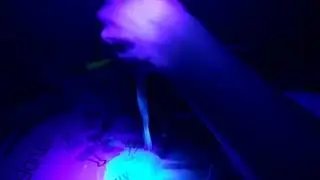 Moco fluorescente