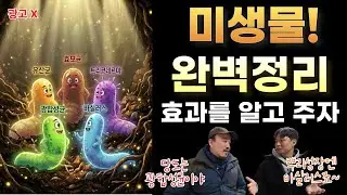 미생물 어떤걸 써야할까? 이 영상으로 끝! 미생물 구입하기전 필수 시청! | 농업전문가가 알려주는 유용 미생물 2편