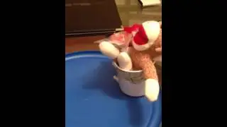 Center of rotation by Clarence the monkey