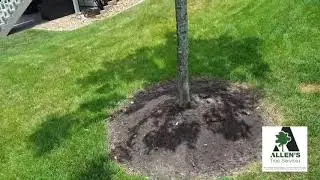 Allen's Tree Service Inc.-St. Charles County Missouri-Beckman's Bits #9- Call 636-332-5535
