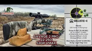 SAVAGE AXIS 2 PRO 22-250 WITH HORNADY 53GR VMAX RELOADS