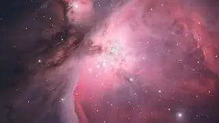 Shenzhen's Xichong named first International Dark Sky Community in China