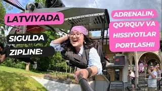 Latviyada Ekstremal Sarguzasht! Sigulda Zipline Bilan Osmonda Uchasiz!