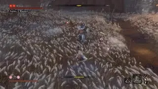 Sekiro: Shadows Die Twice isshin