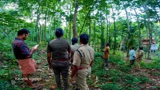 കൂടലിൽ 4 പുലി ഒന്നിച്ചിറങ്ങിയെന്നു നാട്ടുകാർ | koodal | leopard | pathamthitta| konni| laopardattack